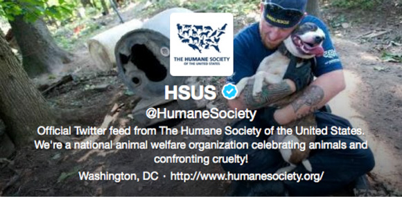 Humane Society Twitter Header